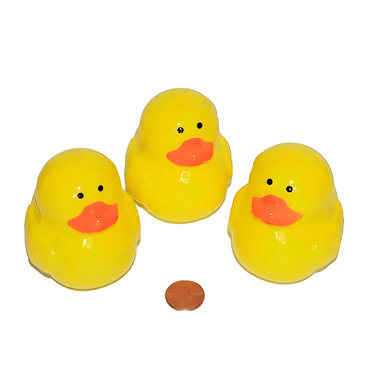 plastic duck containers